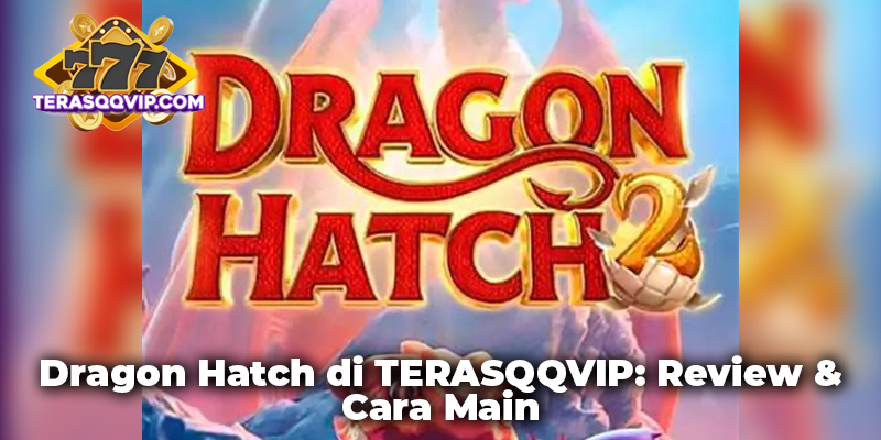 Dragon Hatch di TERASQQVIP: Review & Cara Main
